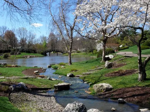 Весна Картинки река с мостом и деревьями