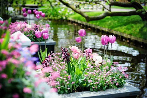 Весна Картинки группа цветов рядом с водоемом