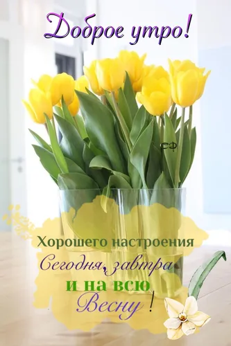 Весна Картинки ваза с желтыми цветами