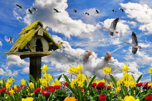 Весна Картинки птицы летают над кормушкой для птиц