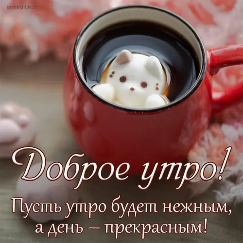 Доброе Утро Красивые Необычные Нежные Картинки чашка с кошкой на ней