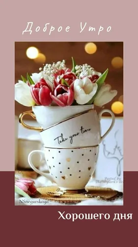 Доброе Утро Красивые Необычные Нежные Картинки чашка цветов
