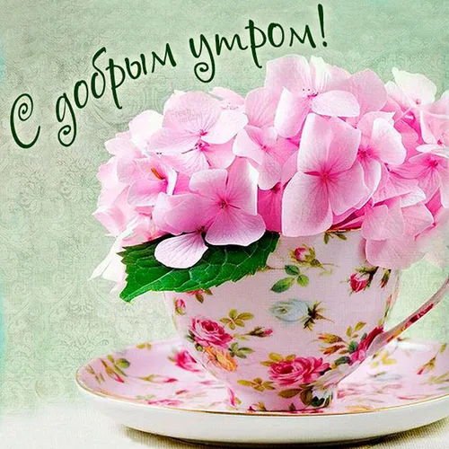 Доброе Утро Красивые Необычные Нежные Картинки тарелка розовых цветов