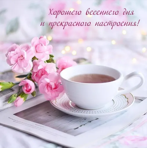 Доброе Утро Красивые Необычные Нежные Картинки чашка чая на блюдце с цветочной композицией
