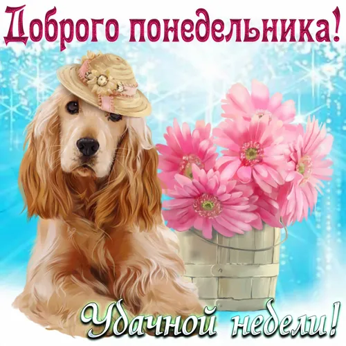 Добрый День Картинки собака в шляпе с букетом розовых цветов