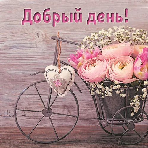 Добрый День Картинки велосипед с цветами на нем
