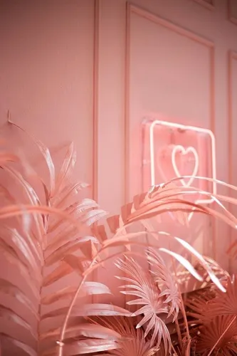 Розовый Модный Обои на телефон белое платье на растении