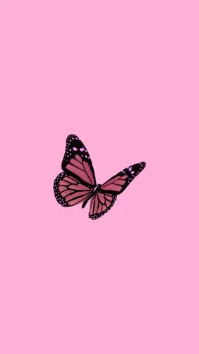 Розовый Модный Обои на телефон бабочка, летающая в небе
