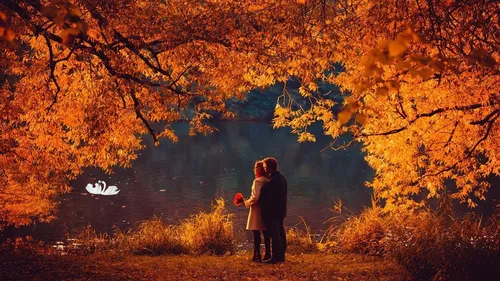 Осень Картинки мужчина и женщина целуются под деревом с апельсиновыми листьями