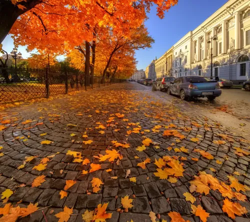 Осень Картинки улица с машинами и деревьями сбоку