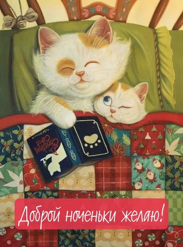 Нежные Спокойной Ночи Картинки две кошки лежат на одеяле