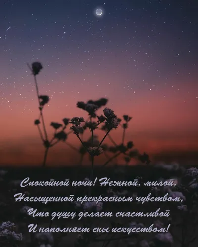 Нежные Спокойной Ночи Картинки поле цветов с луной на заднем плане