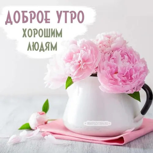 Необычные С Добрым Утром Картинки чашка белого чая с розовыми цветами