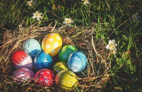 Пасха Картинки группа разноцветных яиц в траве