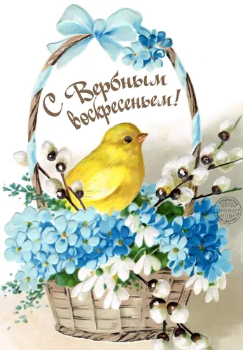 С Вербным Воскресеньем Картинки птица на цветке