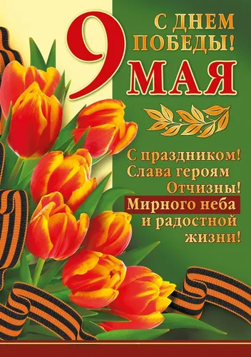 С Днем Победы Картинки обложка книги с оранжевыми цветами