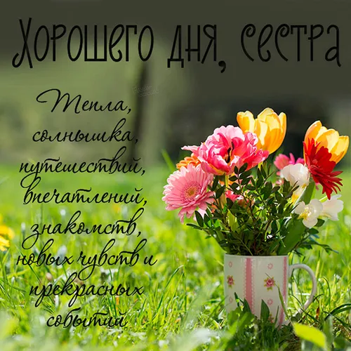 Доброго Дня Картинки ваза с цветами