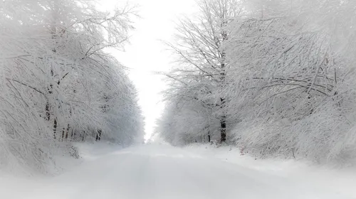Зима Картинки HD