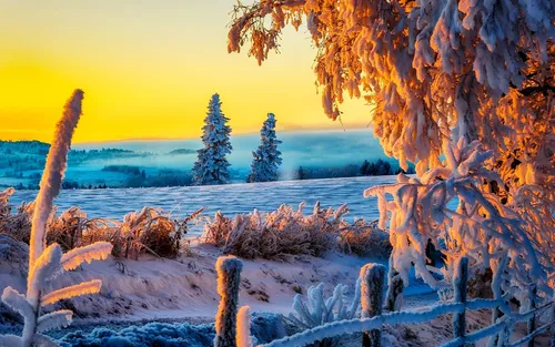 Зима Картинки заснеженное поле с деревьями и водоемом на заднем плане