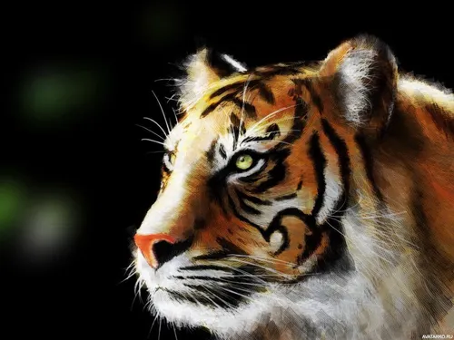 На Аватарку Картинки тигр смотрит в камеру