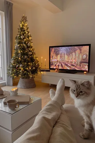 Новый Год Картинки кот сидит на диване перед елкой