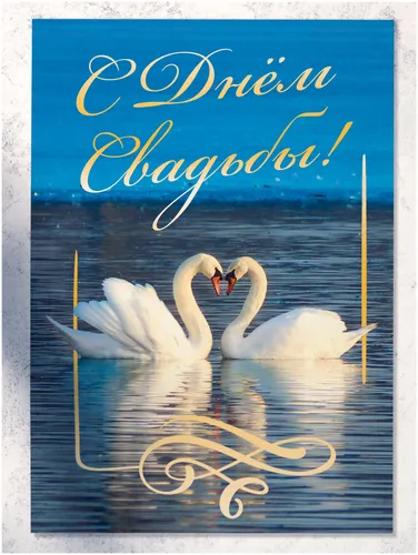 С Днем Свадьбы Картинки пара лебедей, плавающих в воде
