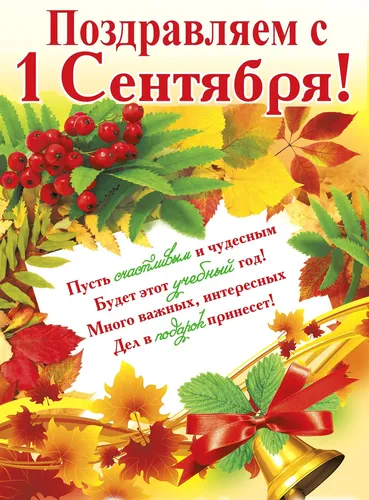 1 Сентября Картинки обложка книги с букетом цветов и листьев