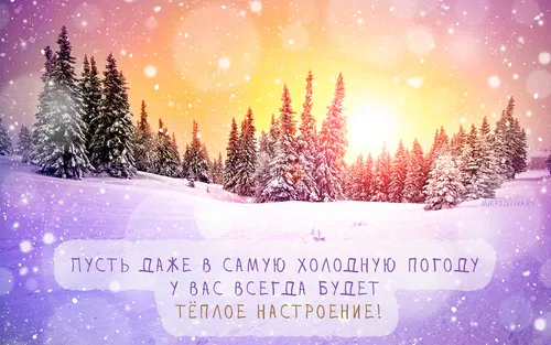 Зимние Позитивный С Добрым Утром Картинки снежное поле с деревьями и закатом
