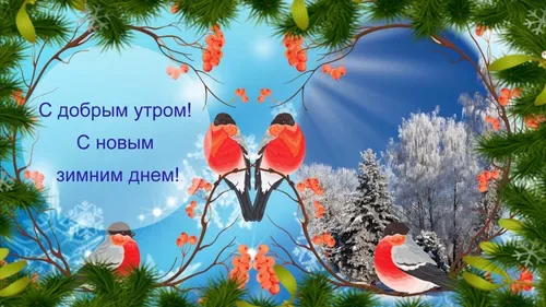 Зимние Позитивный С Добрым Утром Картинки группа бабочек на дереве
