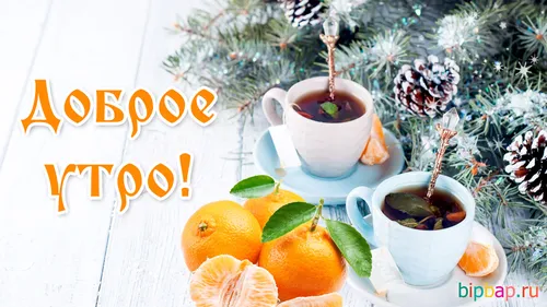 Зимние Позитивный С Добрым Утром Картинки чашка чая и апельсины