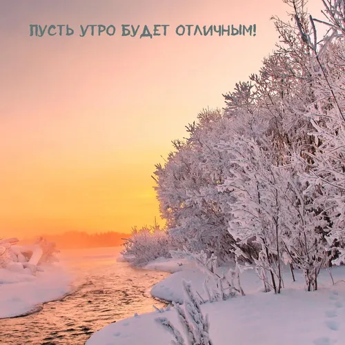 Зимние Позитивный С Добрым Утром Картинки снежный пейзаж с деревьями