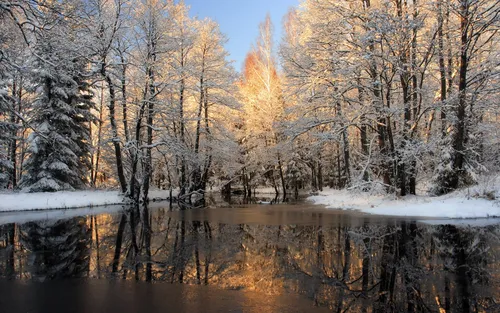 Ранняя Весна Обои на телефон озеро, окруженное заснеженными деревьями