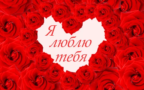 Про Любовь Картинки букет красных роз