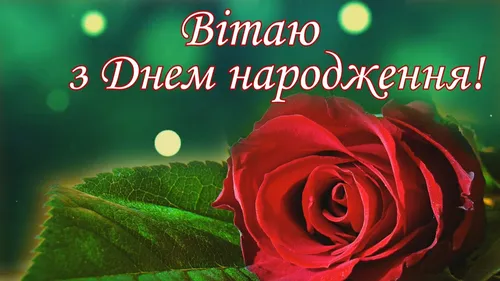 Поздравления С Днем Рождения Картинки красная роза с зелеными листьями