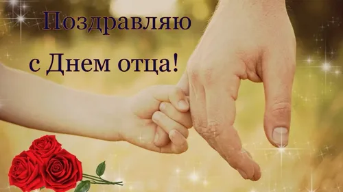 С Днем Отца Картинки пара рук держит розу