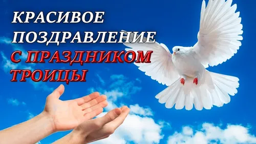 С Троицей Картинки белая птица, летящая в воздухе