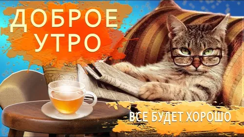 Доброе Утро Прикольные Картинки кот в шляпе и чашке кофе