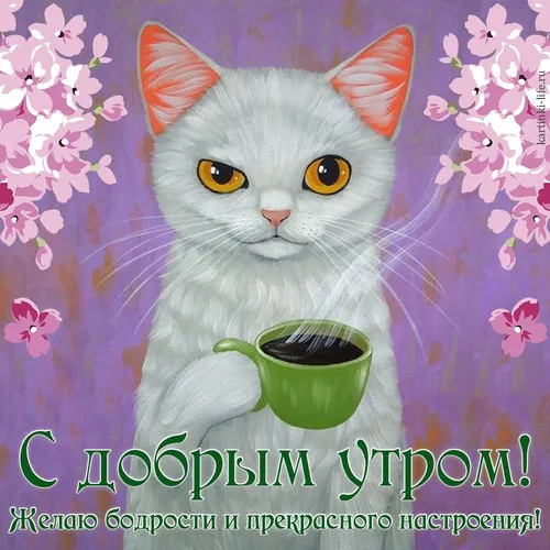 Доброе Утро Прикольные Картинки кошка, держащая миску