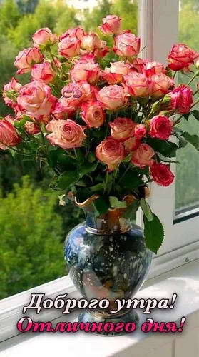 Доброе Утро Самые Красивые Картинки ваза с розовыми розами
