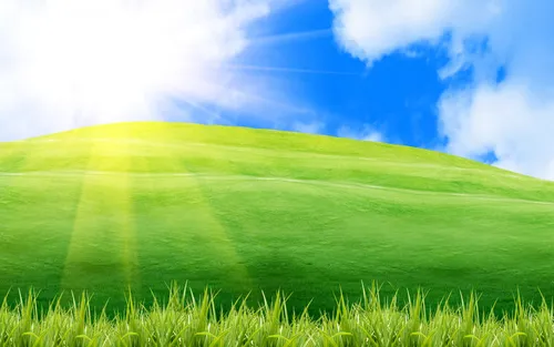 Для Рабочего Стола Картинки травянистое поле с голубым небом