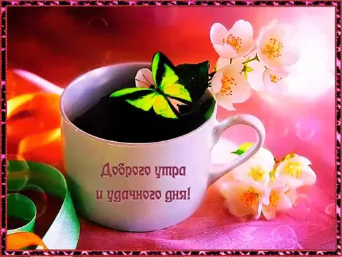 Доброе Утро Хорошего Дня Картинки чайная чашка с растением