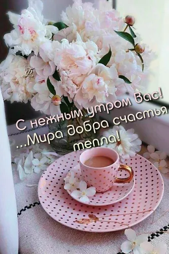 Доброе Утро Хорошего Дня Картинки чашка кофе на блюдце с белыми цветами сбоку