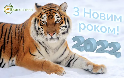 С Новым Годом 2022 Картинки тигр лежа