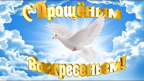 С Прощеным Воскресеньем Картинки белая птица, летящая в небе