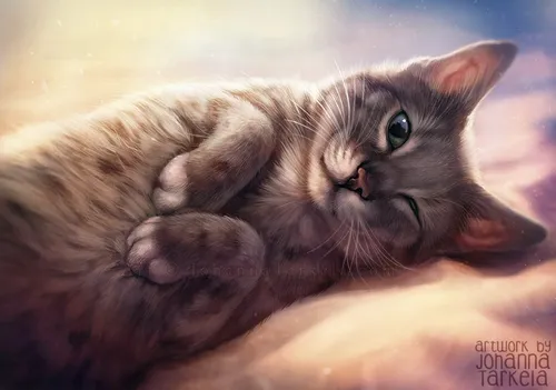 Котики Картинки кошка, лежащая на спине