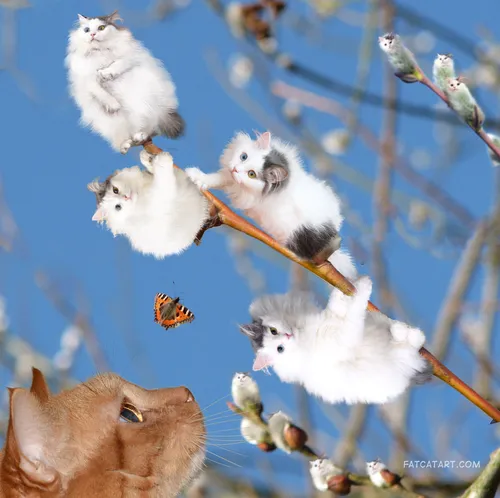 Котики Картинки группа кошек на ветке дерева