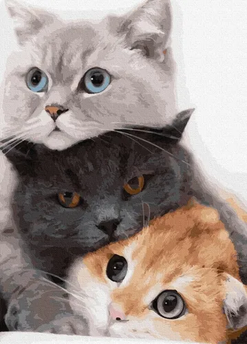 Котики Картинки кошка и котенок
