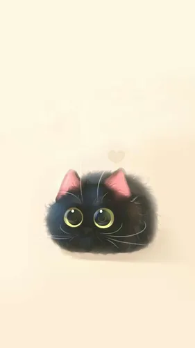 Котики Картинки кошка с розовым носом