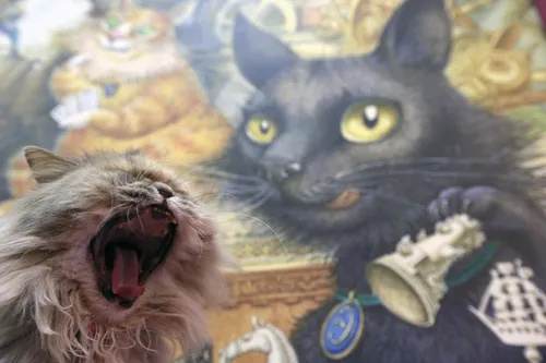 Котики Картинки кошка с открытым ртом рядом с чучелом животного
