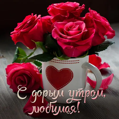 Красивые С Добрым Утром Картинки чашка роз